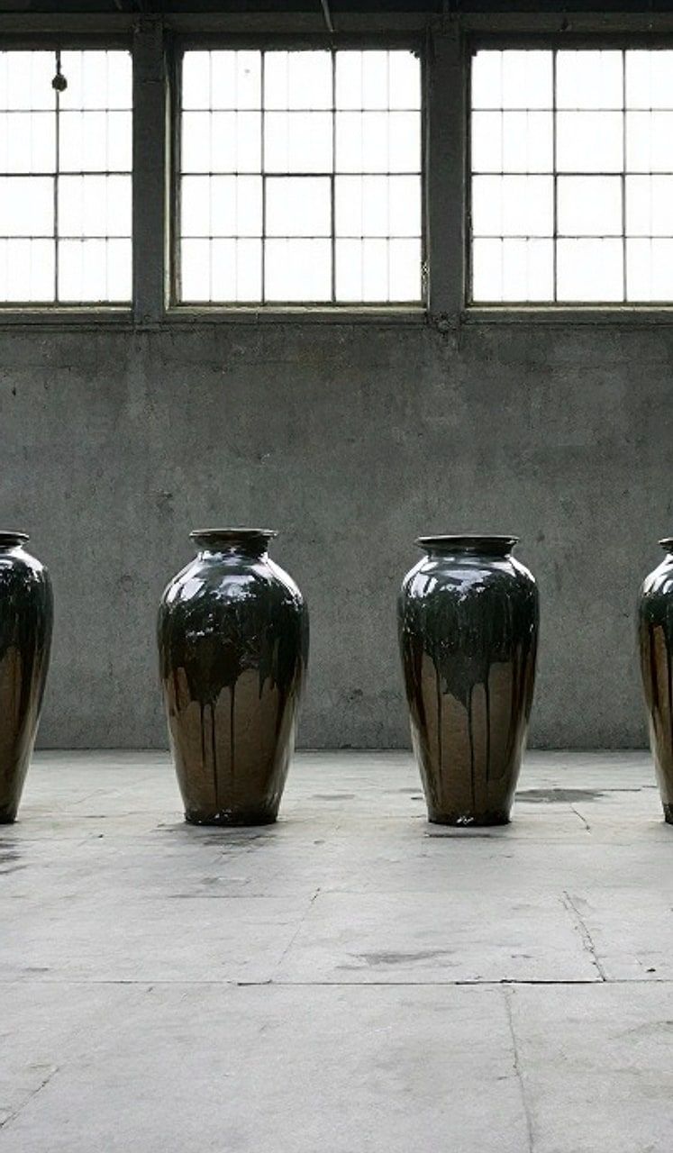 Yolanda Prieto, Beech, Het Gooi, 2024 (III), 2025